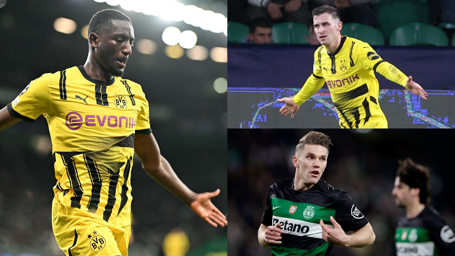 社交媒体上 社交媒体上